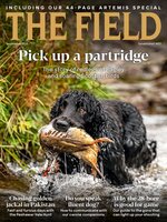 The Field
